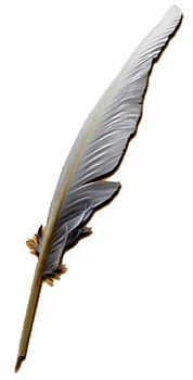 image of quill_pen