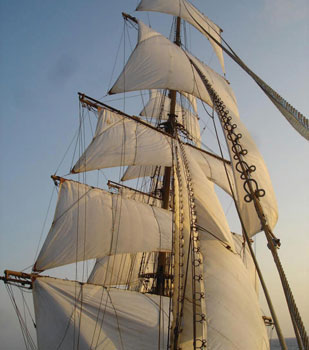image of sail_above