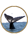 About Whales icon