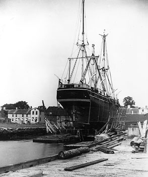 image of stern